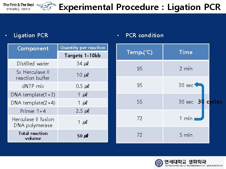 Experimental Procedure : Ligation PCR • Ligation PCR Component • Quantity per reaction Targets