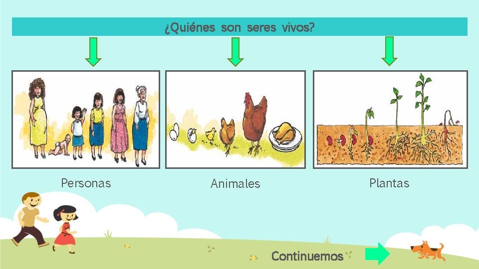 ¿Quiénes son seres vivos? Personas Plantas Animales Continuemos 