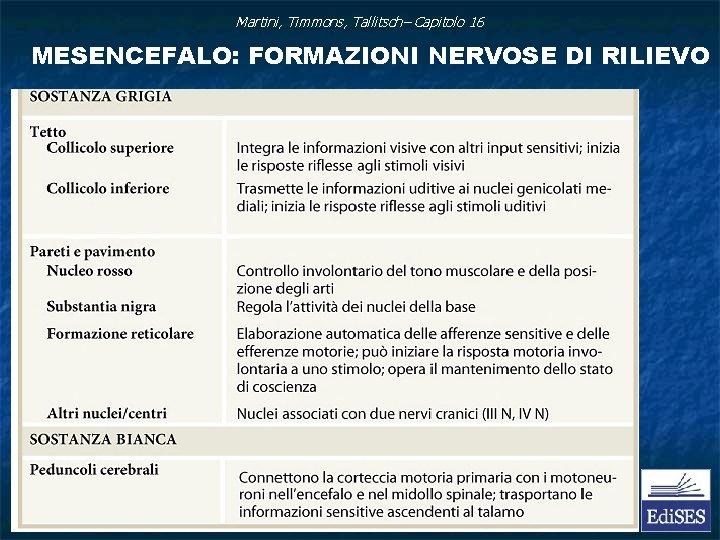 Tronco Encefalico Tronco Encefalico Parti Costitutive Il Tronco