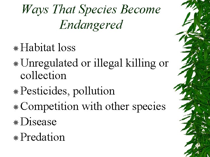 Ways That Species Become Endangered Habitat loss Unregulated or illegal killing or collection Pesticides,