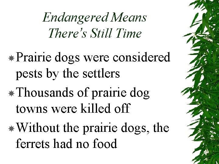 Endangered Means There’s Still Time Prairie dogs were considered pests by the settlers Thousands