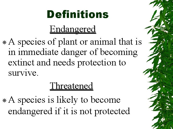 Definitions Endangered A species of plant or animal that is in immediate danger of