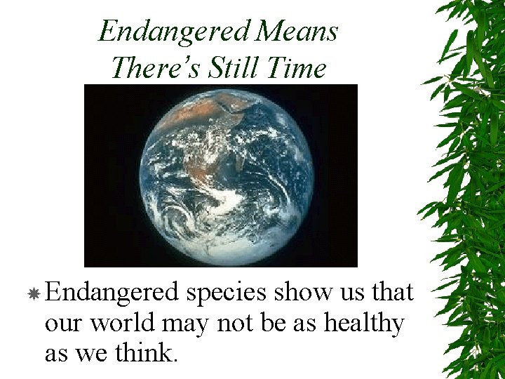 Endangered Means There’s Still Time Endangered species show us that our world may not