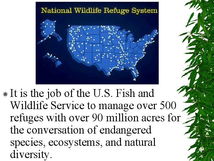  It is the job of the U. S. Fish and Wildlife Service to