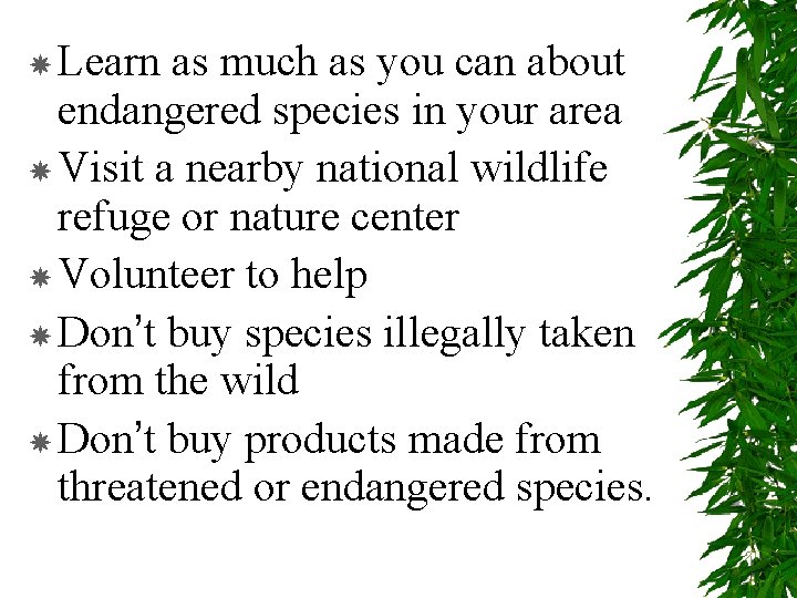  Learn as much as you can about endangered species in your area Visit