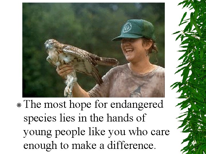  The most hope for endangered species lies in the hands of young people