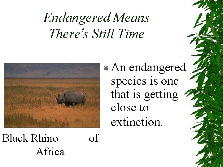 Endangered Means There’s Still Time An endangered species is one that is getting close