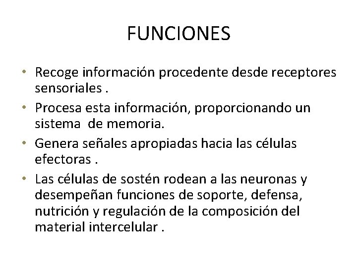 FUNCIONES • Recoge información procedente desde receptores sensoriales. • Procesa esta información, proporcionando un