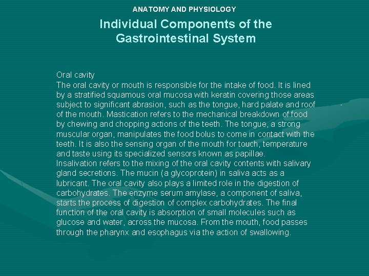 ANATOMY AND PHYSIOLOGY Individual Components of the Gastrointestinal System Oral cavity The oral cavity