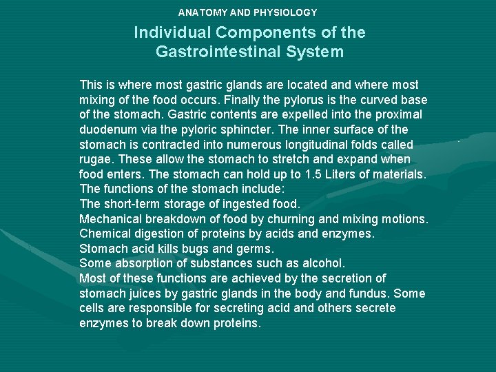 ANATOMY AND PHYSIOLOGY Individual Components of the Gastrointestinal System This is where most gastric