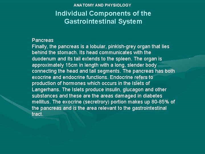ANATOMY AND PHYSIOLOGY Individual Components of the Gastrointestinal System Pancreas Finally, the pancreas is