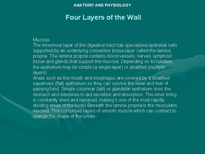 ANATOMY AND PHYSIOLOGY Four Layers of the Wall Mucosa The innermost layer of the