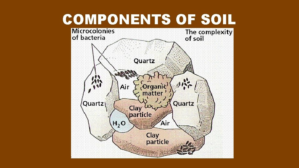 COMPONENTS OF SOIL 