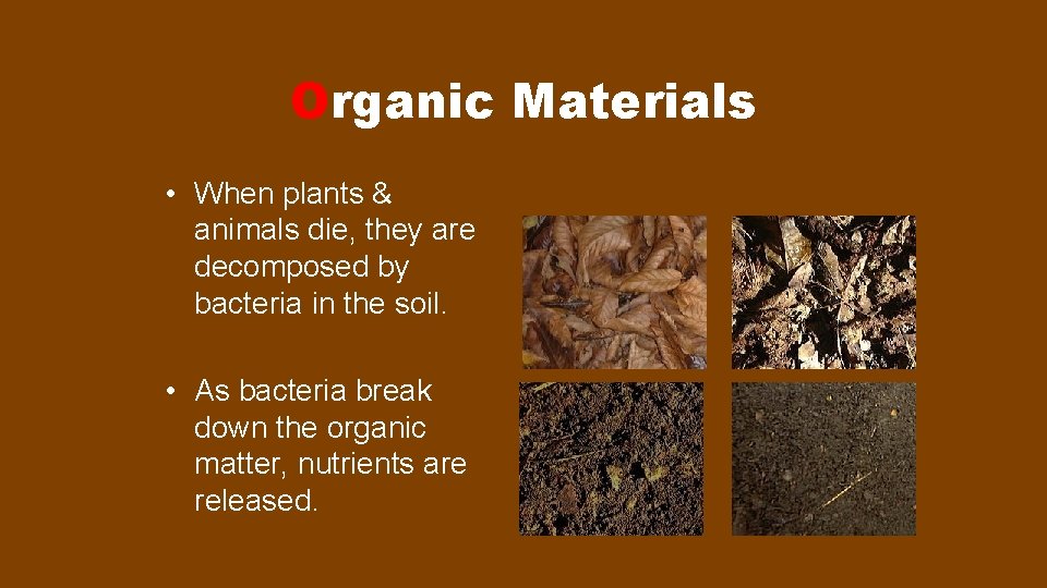 Organic Materials • When plants & animals die, they are decomposed by bacteria in
