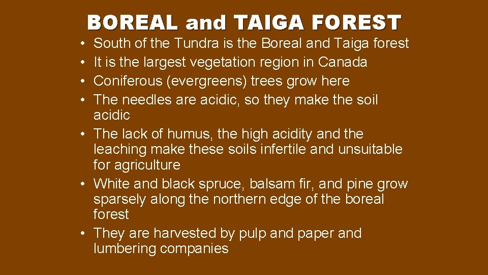  • • BOREAL and TAIGA FOREST South of the Tundra is the Boreal