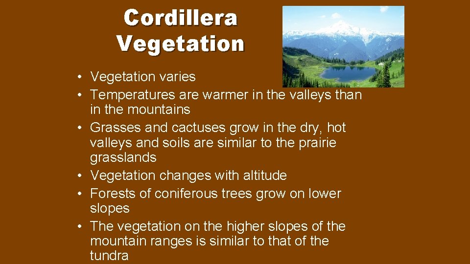 Cordillera Vegetation • Vegetation varies • Temperatures are warmer in the valleys than in