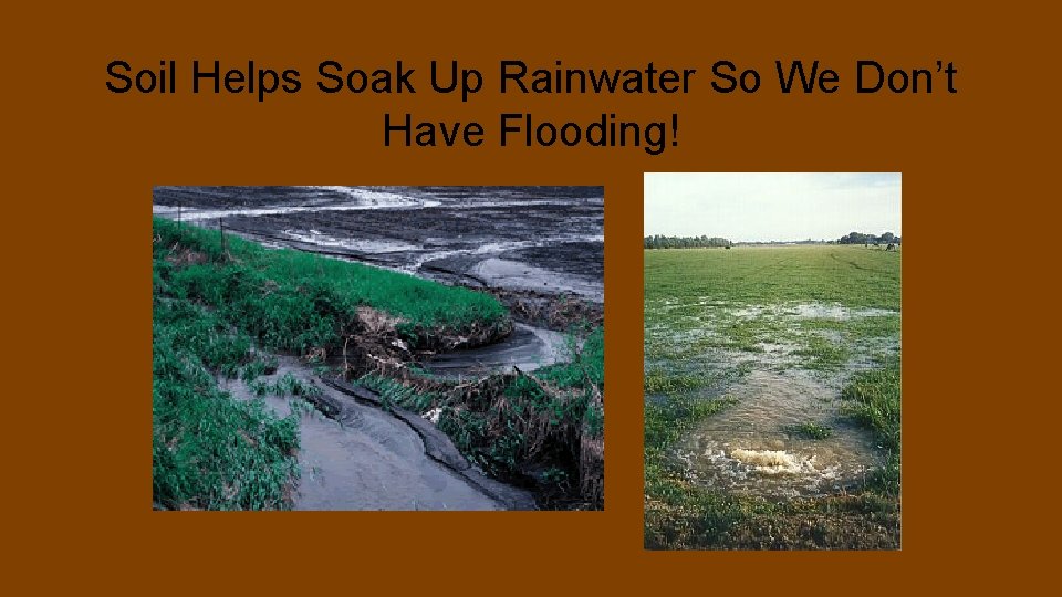 Soil Helps Soak Up Rainwater So We Don’t Have Flooding! 