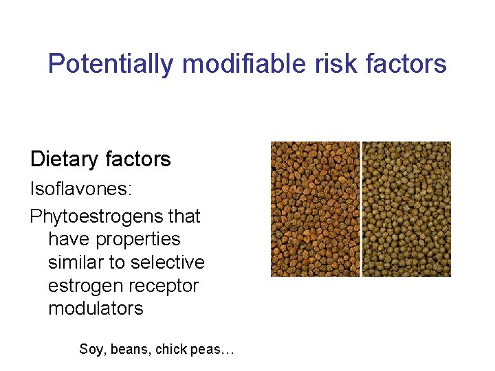 Potentially modifiable risk factors Dietary factors Isoflavones: Phytoestrogens that have properties similar to selective