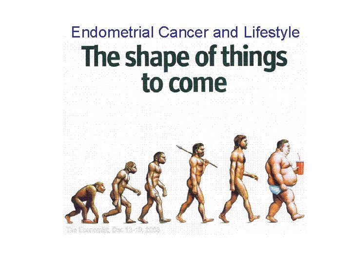 Endometrial Cancer and Lifestyle 