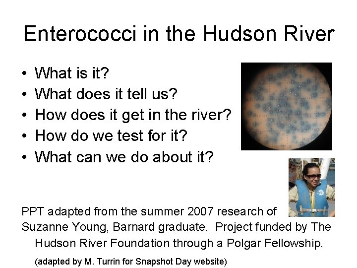 Enterococci in the Hudson River • • • What is it? What does it