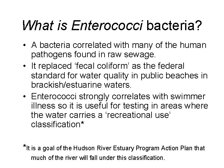 What is Enterococci bacteria? • A bacteria correlated with many of the human pathogens