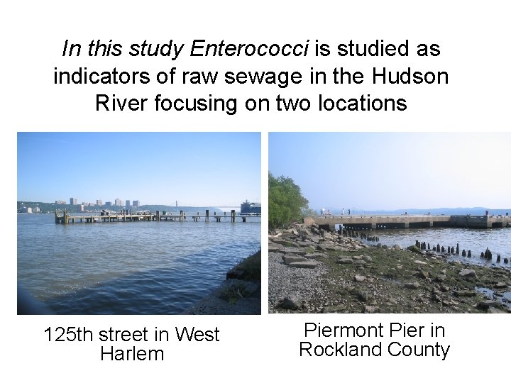 In this study Enterococci is studied as indicators of raw sewage in the Hudson