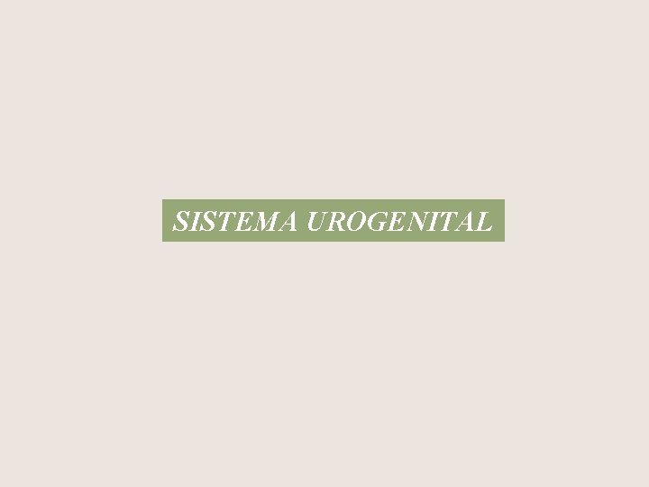 SISTEMA UROGENITAL 