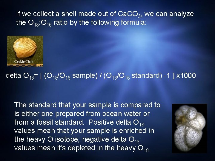 If we collect a shell made out of Ca. CO 3, we can analyze