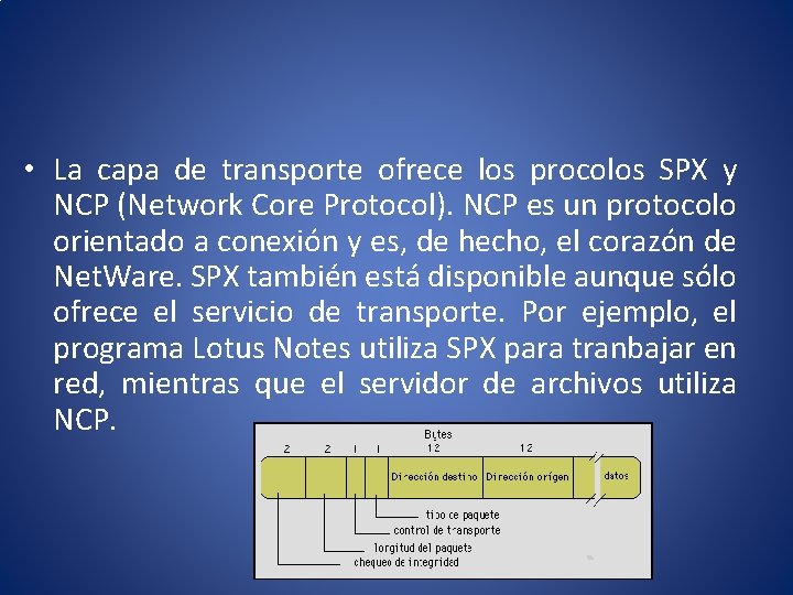  • La capa de transporte ofrece los procolos SPX y NCP (Network Core