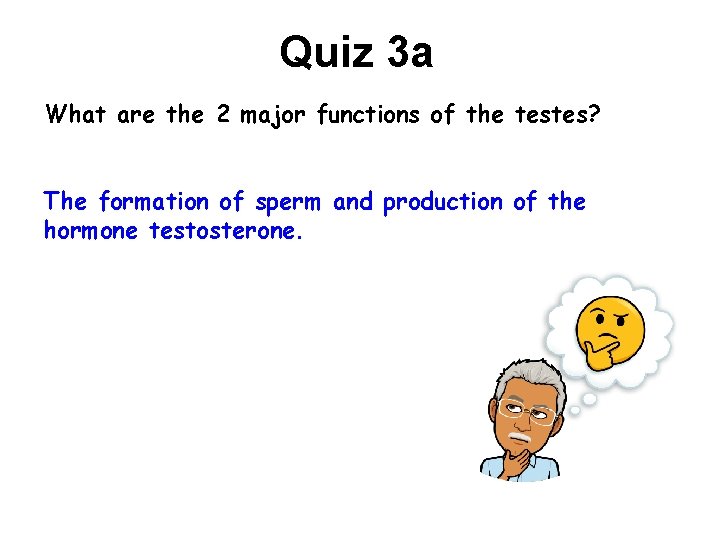 Quiz 3 a What are the 2 major functions of the testes? The formation