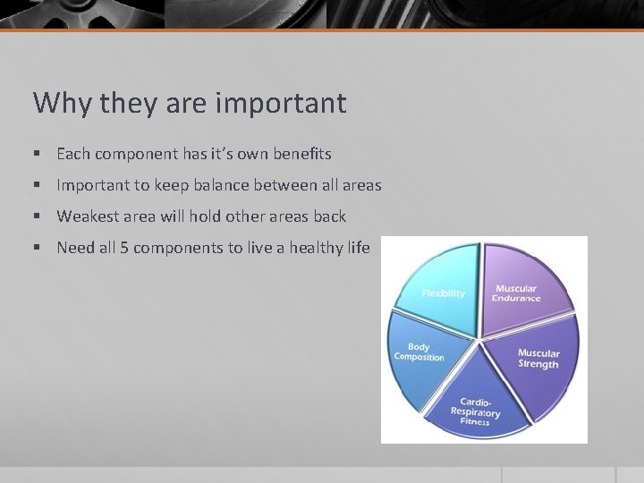 Why they are important § Each component has it’s own benefits § Important to