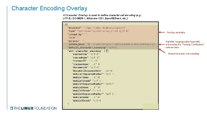 Character Encoding Overlay A Character Overlay is used to define character set encoding (e.