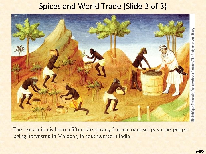 Spices and World Trade (Slide 2 of 3) The illustration is from a fifteenth-century