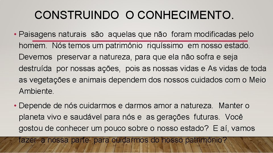 CONSTRUINDO O CONHECIMENTO. • Paisagens naturais são aquelas que não foram modificadas pelo homem.