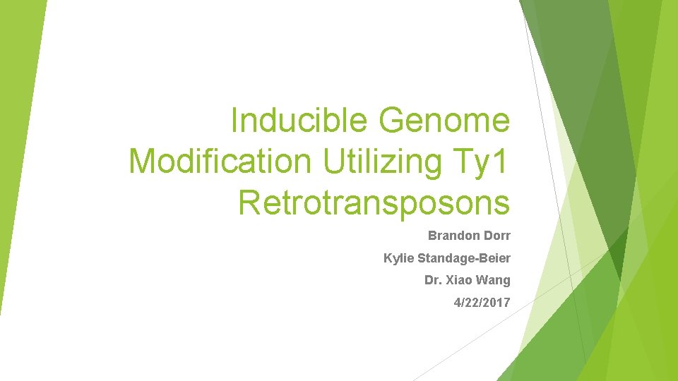 Inducible Genome Modification Utilizing Ty 1 Retrotransposons Brandon Dorr Kylie Standage-Beier Dr. Xiao Wang