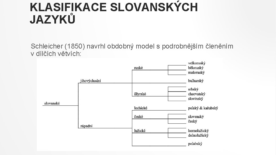 KLASIFIKACE SLOVANSKÝCH JAZYKŮ Schleicher (1850) navrhl obdobný model s podrobnějším členěním v dílčích větvích: