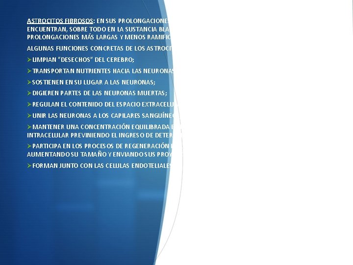 ASTROCITOS FIBROSOS: EN SUS PROLONGACIONES EXISTE UNA GRAN CANTIDAD DE FIBRILLAS. SE ENCUENTRAN, SOBRE