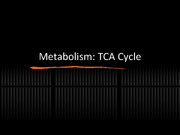 Metabolism: TCA Cycle 