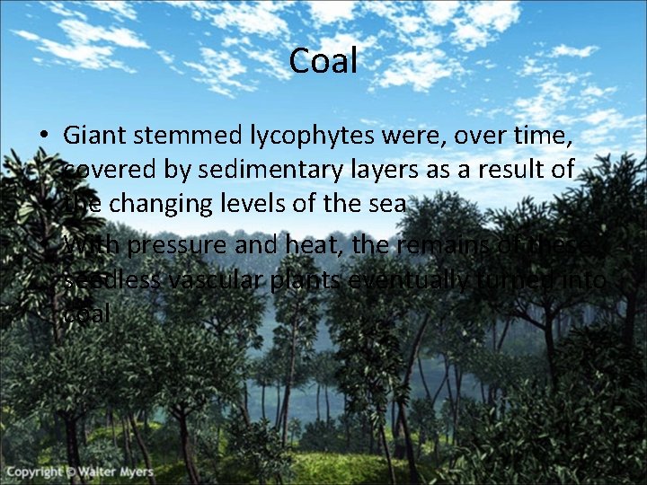 Coal • Giant stemmed lycophytes were, over time, covered by sedimentary layers as a Coal • Giant stemmed lycophytes were, over time, covered by sedimentary layers as a