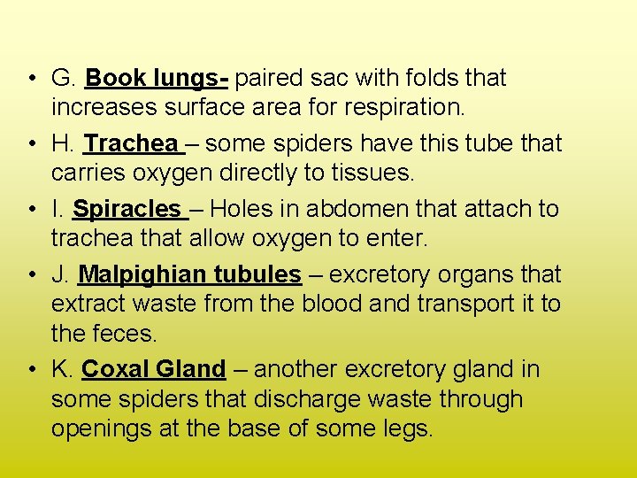  • G. Book lungs- paired sac with folds that increases surface area for