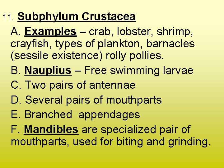 Subphylum Crustacea A. Examples – crab, lobster, shrimp, crayfish, types of plankton, barnacles (sessile