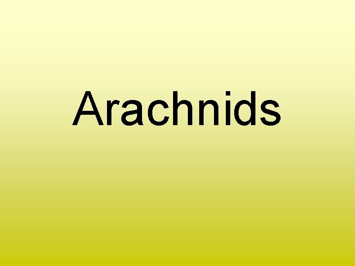 Arachnids 