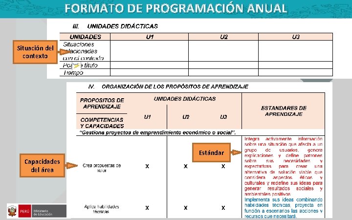 FORMATO DE PROGRAMACIÓN ANUAL Situación del contexto Estándar Capacidades del área 