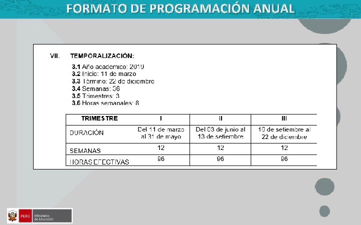 FORMATO DE PROGRAMACIÓN ANUAL 