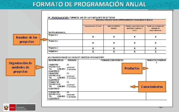 FORMATO DE PROGRAMACIÓN ANUAL Nombre de los proyectos Organización de unidades de proyectos Productos