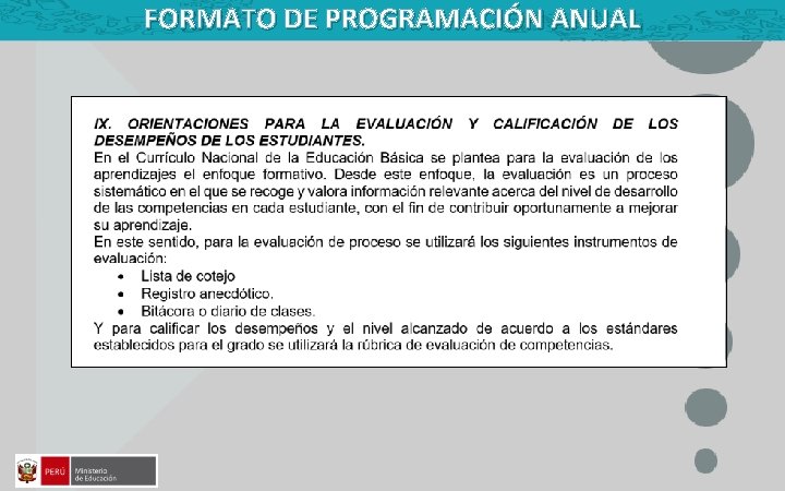 FORMATO DE PROGRAMACIÓN ANUAL 