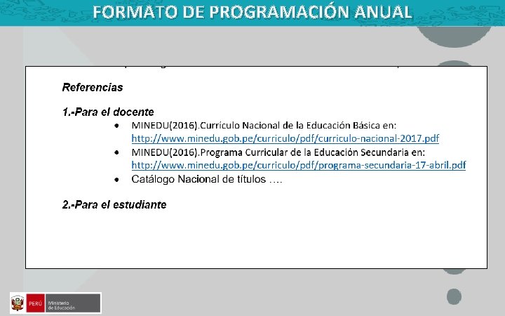 FORMATO DE PROGRAMACIÓN ANUAL 