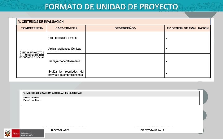 FORMATO DE UNIDAD DE PROYECTO 