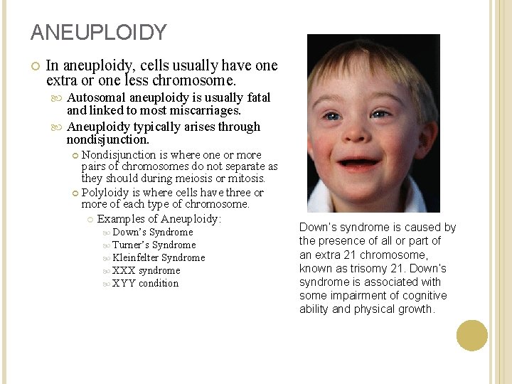 ANEUPLOIDY In aneuploidy, cells usually have one extra or one less chromosome. Autosomal aneuploidy