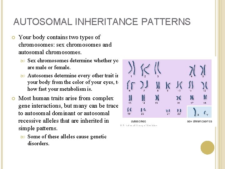 AUTOSOMAL INHERITANCE PATTERNS Your body contains two types of chromosomes: sex chromosomes and autosomal